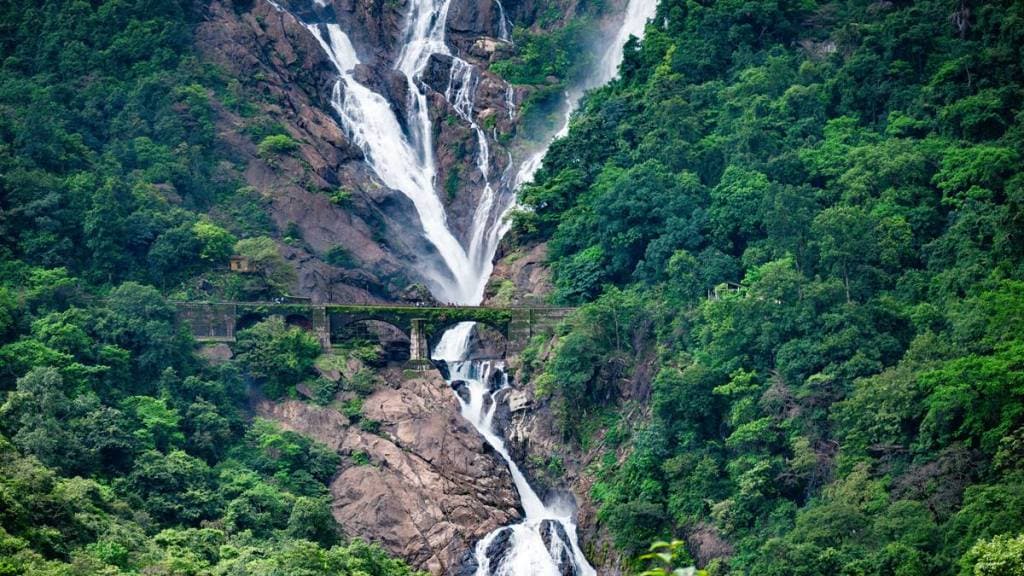 dudhsagar, dudhsagar falls, dudhsagar waterfalls, dudhsagar trek, dudhsagar falls from goa, dudhsagar waterfall trek, dudhsagar waterfall kahan hai, dudhsagar waterfall news, dudhsagar goa, dudhsagar train, dudhsagar train view, dudhsagar train timing, dudhsagar train station, dudhsagar train station code, dudhsagar train journey, dudhsagar train from goa, dudhsagar train from bangalore, dudhsagar train ticket price, dudhsagar train video, dudhsagar train images,