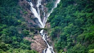 dudhsagar, dudhsagar falls, dudhsagar waterfalls, dudhsagar trek, dudhsagar falls from goa, dudhsagar waterfall trek, dudhsagar waterfall kahan hai, dudhsagar waterfall news, dudhsagar goa, dudhsagar train, dudhsagar train view, dudhsagar train timing, dudhsagar train station, dudhsagar train station code, dudhsagar train journey, dudhsagar train from goa, dudhsagar train from bangalore, dudhsagar train ticket price, dudhsagar train video, dudhsagar train images,