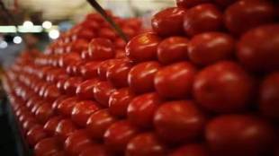 supply chain, tomato prices, trade operations, price surge, Cyclonic storms, rainfall, open market, food security, demand, cost of production, early payment solutions, financing solutions