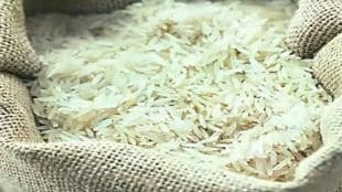 rice exports, exports, export ban, global prices, inflation, El Nino, global supply, rice trade, sugar exports, consumer price inflation
