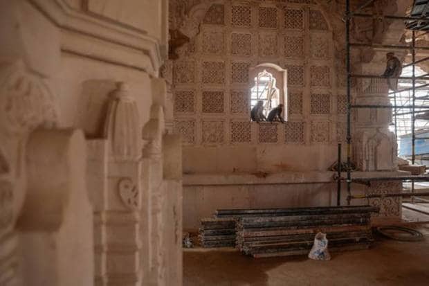 Monkeys are seen inside the under construction site of Hindu Ram Temple in Ayodhya. REUTERS