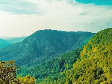 kerala