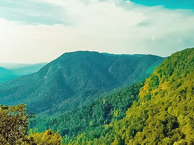 kerala