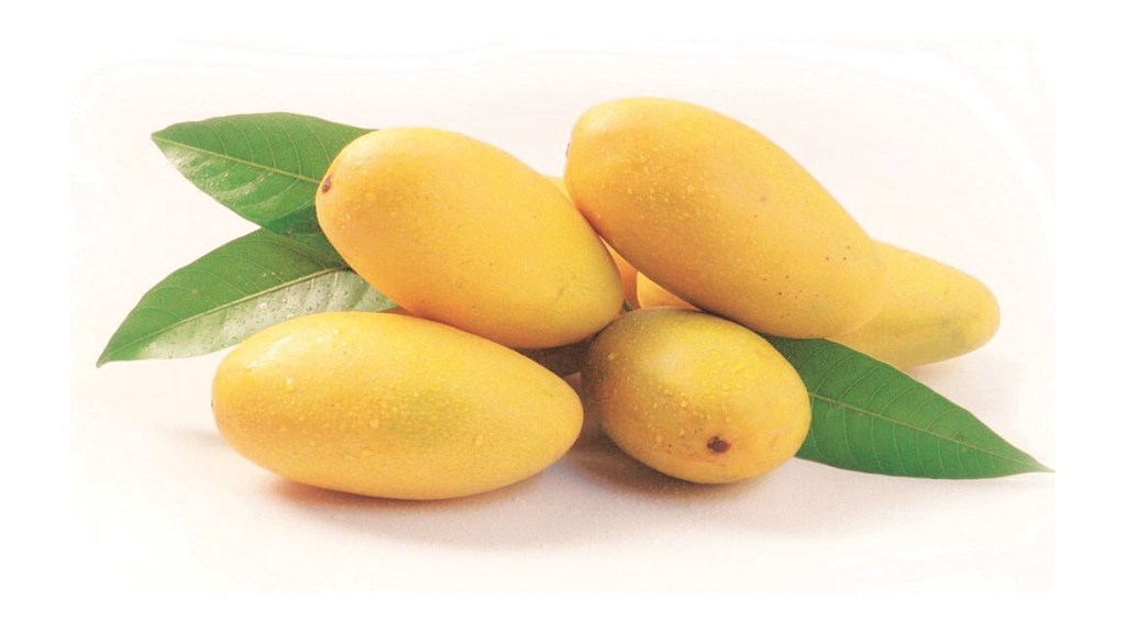 mango, health