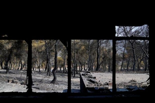 Thousands have been forced to flee homes as a result of the forest fires.(Image: AP)