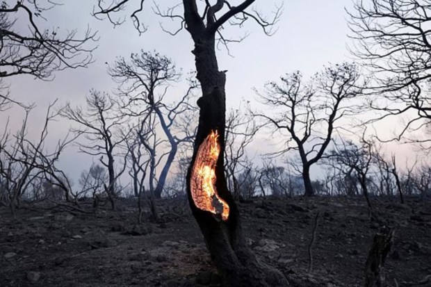 The fire initially broke out in Dervenochoria on Monday. (Image: Reuters)