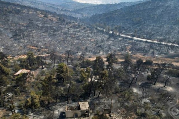 Temperatures in Greece could rise further on Friday to a maximum of 44C. (Image: AP)