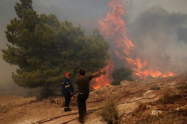 The wildfires in Greece have destroyed forests and several homes. (Image: Reuters)