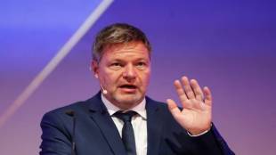 Germany's Vice Chancellor Robert Habeck