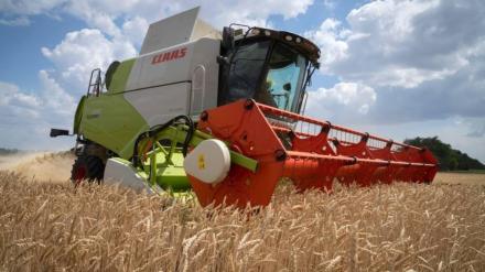 Russia-Africa summit, Russia, Africa, Black Sea Grain deal, Russia-Ukraine war, grain exports, Wagner group, Vladimir Putin