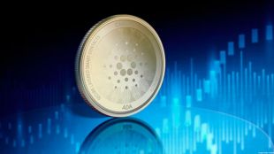 Regulators and policymakers have been tightening rules governing the cryptocurrency sector
