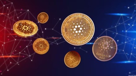 Going by Unidef’s official website, it’s a global network for organisations