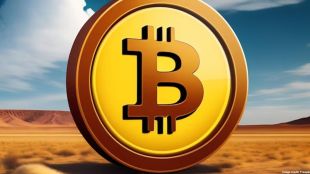 Altcoin market cap has jumped to $636.38 billion before the ruling, according to CoinGecko