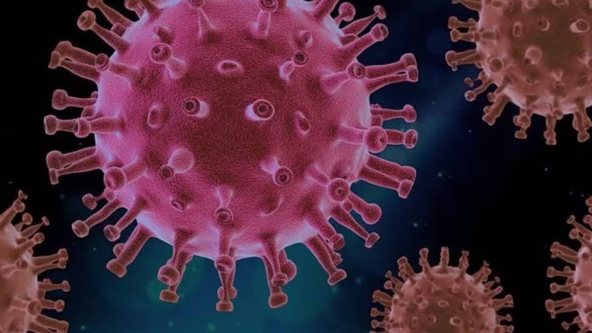covid, covid reinfection, coronavirus pandemic, covid updates, health news,