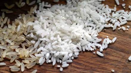 Non basmati white rice