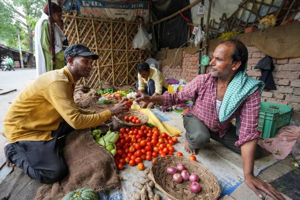 Tomato prices have soared across the country with retail price crossing Rs 100/kg in many parts of India. (PTI Photo)