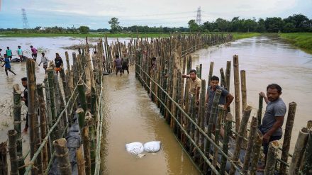 Assam floods