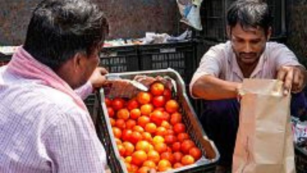 Tomato| Pune Tomato| Pune