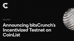 Going by bitsCrunch’s official website, it aims to help global Web3.0 ecosystem