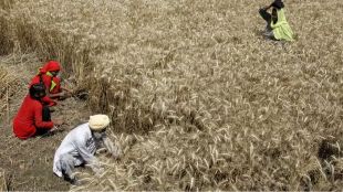 Ministry of Agriculture & Farmers Welfare, digital technologies, e-NAM platform, agro-marketing sector, competitive price, farmer produce, inter-mandi trade, inter-state trade, consumer price, surplus produce