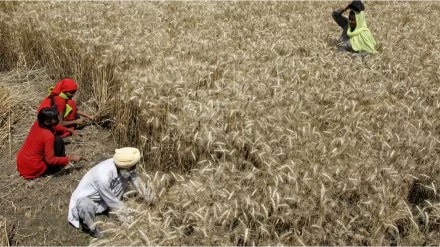 Ministry of Agriculture & Farmers Welfare, digital technologies, e-NAM platform, agro-marketing sector, competitive price, farmer produce, inter-mandi trade, inter-state trade, consumer price, surplus produce