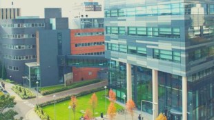 The curriculum encompasses a blend of core chemistry courses and specialised subjects, including disease targets, prototype drug design, synthetic strategies and drug compound refinement.