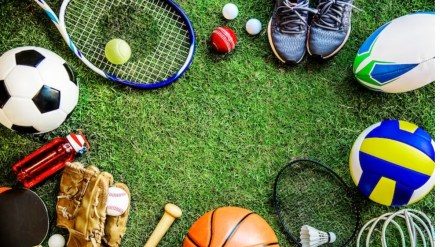 NSNIS Patiala seeks CSR partners for coaching and Sports Science education programme NSNIS Patiala seeks CSR partners for coaching and Sports Science education programme