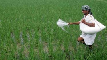 Zinc deficiency
