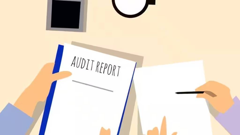 audit committees