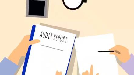 audit committees