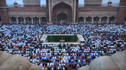 democracy, muslims