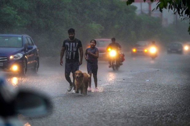 A man along with his pet walks down a waterlogged load as people commute amid monsoon rains. (Image: PTI)