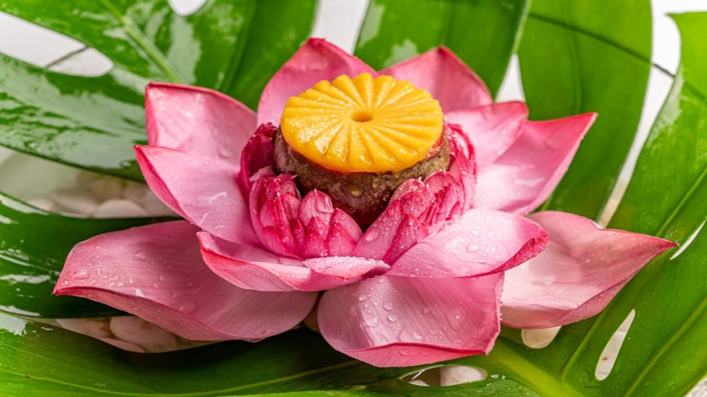 lifestyle, lifestyle news