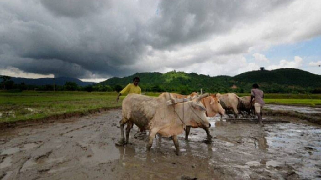 el nino, monsoon el nino, monsoon