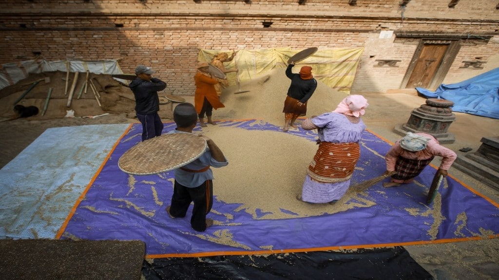 msme, odop scheme, parliament, monsoon session, written reply, odop products, small industry, business news, India business news, msme news, food processing, food processing plant