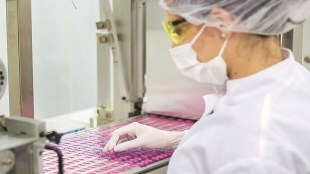 pharma, markets