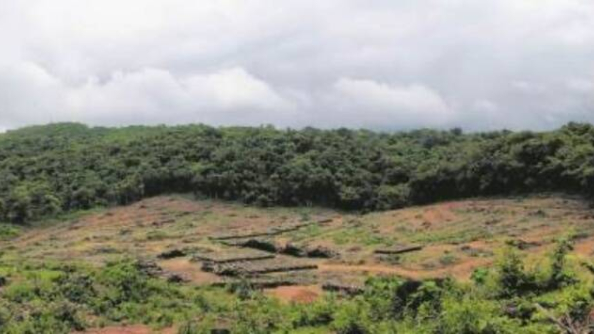 Goa news, Goa bans entry to waterfalls and wildlife sanctuaries, goa waterfalls and wildlife sanctuaries news, waterfalls and wildlife sanctuaries, goa drowning cases Goa news, Goa bans entry to waterfalls and wildlife sanctuaries, goa waterfalls and wildlife sanctuaries news, waterfalls and wildlife sanctuaries, goa drowning cases