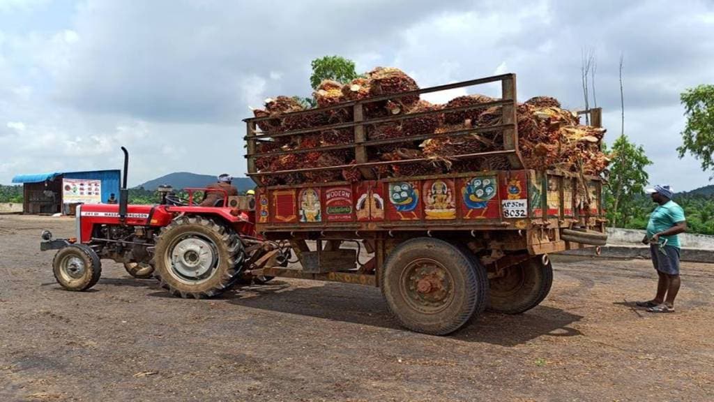 india palm oil imports