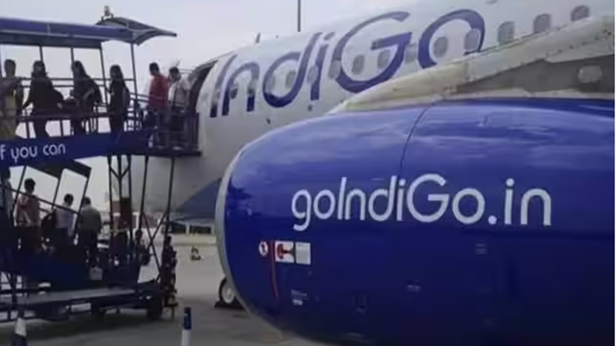 indigo, aviation