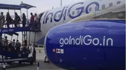 indigo, aviation