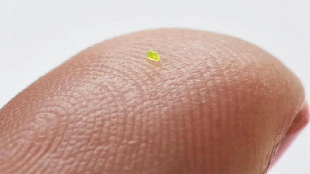 smallest bag, LV smallest bag, Louis Vuitton, micro bag, microscopic handbag, green bag,