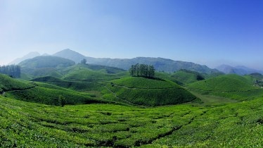 kerela tourism