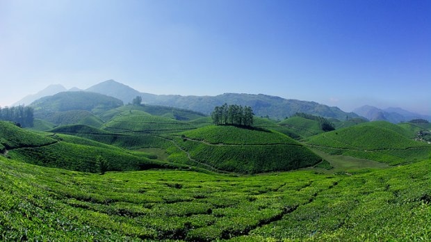 kerela tourism