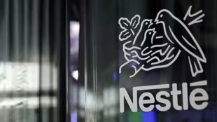nestle, nestle india