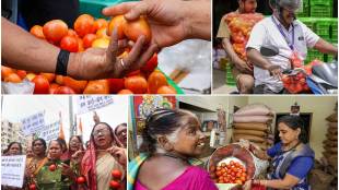 tomato, price