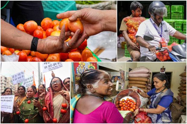 These days tomato has become a heated point of political argument between the Bharatiya Janata Party (BJP) and the Congress party. Reportedly, the price of this vegetable has crossed Rs 150 per kg in some cities in India.On Wednesday, Congress president Mallikarjun Kharge hit out at the Modi government over rising prices and unemployment. He said that people will not buy the 