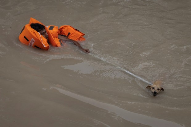 A man rescues a dog from a flooded colony, after a rise in the water level of the river Yamuna, in New Delhi on July 15, 2023. (Image: REUTERS/Adnan Abidi)