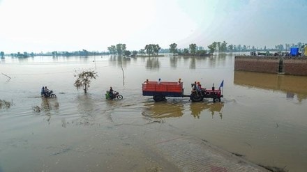 punjab flood| punjab flood death toll| two swept away in punjab floods| punjab flood| punjab flood death toll| two swept away in punjab floods|