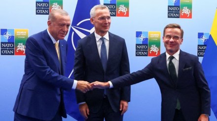 Turkey Sweden NATO membership, Turkey backs Sweden's NATO membership, Turkey Sweden, Sweden to enter NATO, NATO members, US Turkey