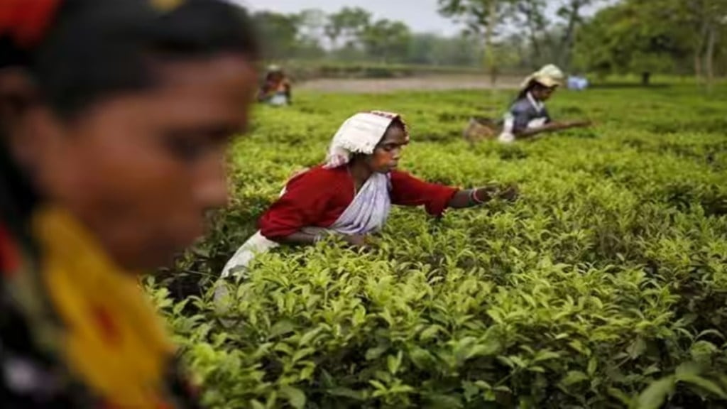 sustainability, eco-friendly practices, tea and coffee industry, environmental impact, Sustainable Sourcing, Energy Efficiency, Eco-Friendly Packaging, fair trade, ethical practices, awareness